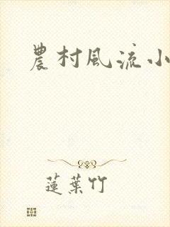 农村风流小说
