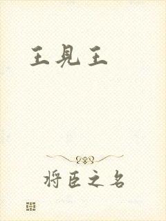 王见王封面