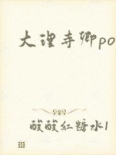 大理寺卿po
