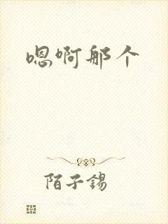 嗯啊那个
