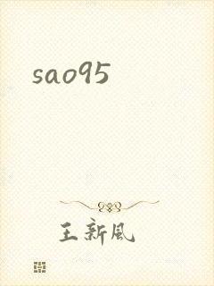 sao95封面