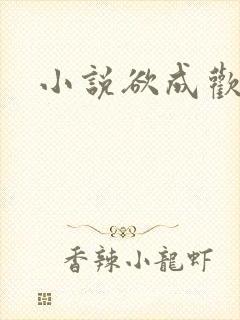 小说欲成欢