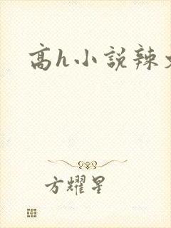 高h小说辣文封面