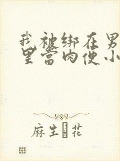 我被绑在男公厕里当肉便小说