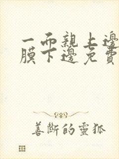 一面亲上边一面膜下边免费阅读