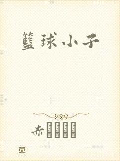 篮球小子封面