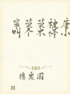 宁荣荣被唐三桶叫个不停小说