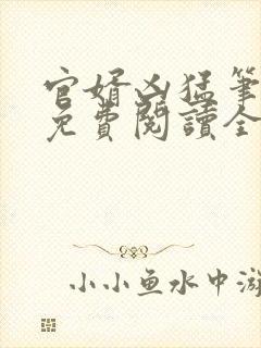 官婿凶猛笔趣阁免费阅读全文