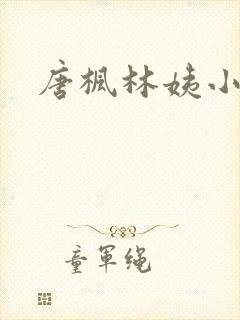 唐枫林姨小说