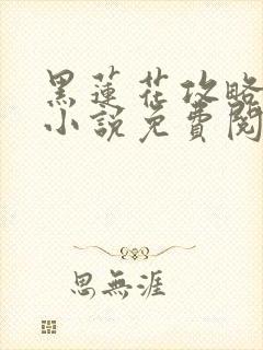 黑莲花攻略手册小说免费阅读全文封面