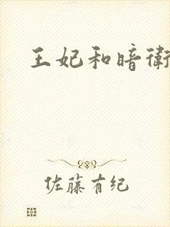 王妃和暗卫野H