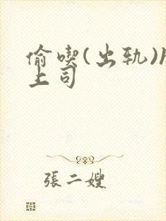 偷吃(出轨)h上司