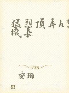 猛烈顶弄h禁欲机长