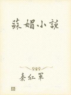 苏媚小说