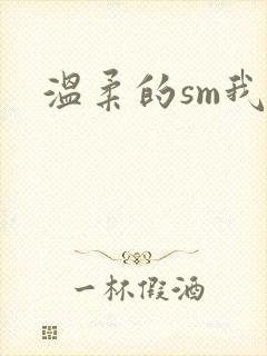 温柔的sm我