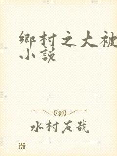 乡村之大被同眠小说