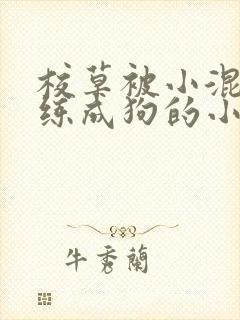 校草被小混混训练成狗的小说