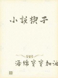 小说楔子封面