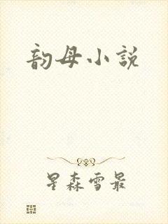 韵母小说