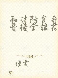 和消防员哥哥恋爱后金银花趣笔阁封面