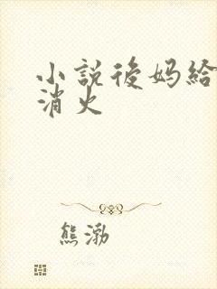 小说后妈给我消消火