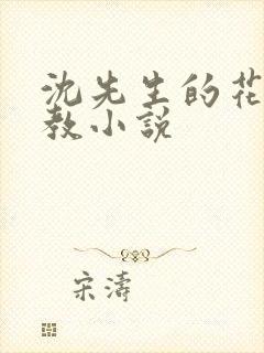 沈先生的花式管教小说