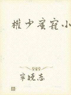 权少蜜宠小娇妻