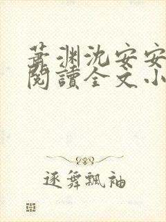 萧渊沈安安免费阅读全文小说