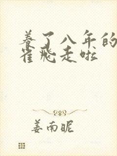 养了八年的金丝雀飞走啦