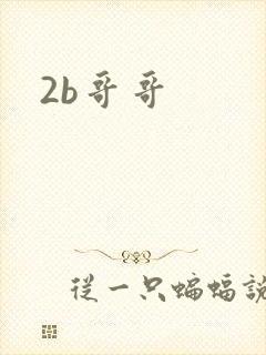 2b哥哥