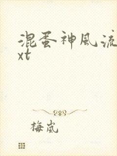 混蛋神风流史txt