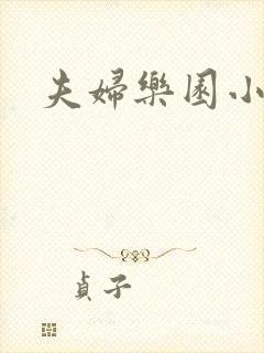 夫妇乐园小说