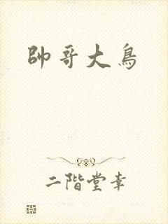 帅哥大鸟