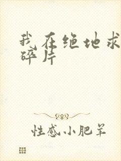 我在绝地求生捡碎片封面