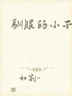 驯服的小子4