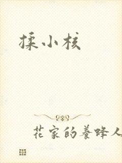 揉小核