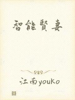 智能贤妻