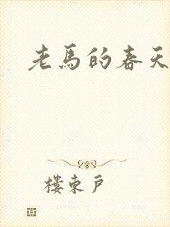 老马的春天敏静