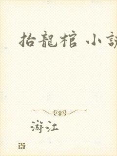 抬龙棺 小说