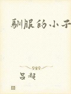 驯服的小子4