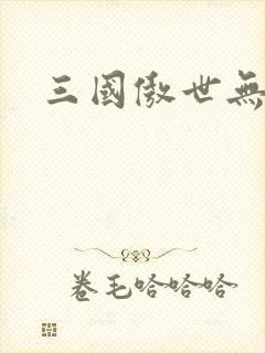 三国傲世无双封面