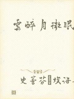 云醉月微眠封面
