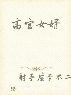 高官女婿