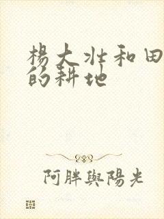 杨大壮和田桂花的耕地封面