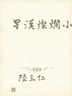 星汉灿烂小说
