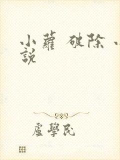 小萝 破除 小说