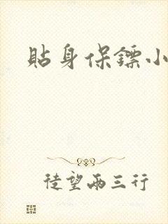 贴身保镖小说封面