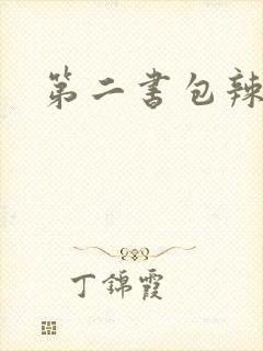 第二书包辣文