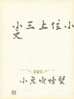 小三上位小说全文封面