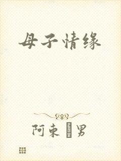 母子情缘封面